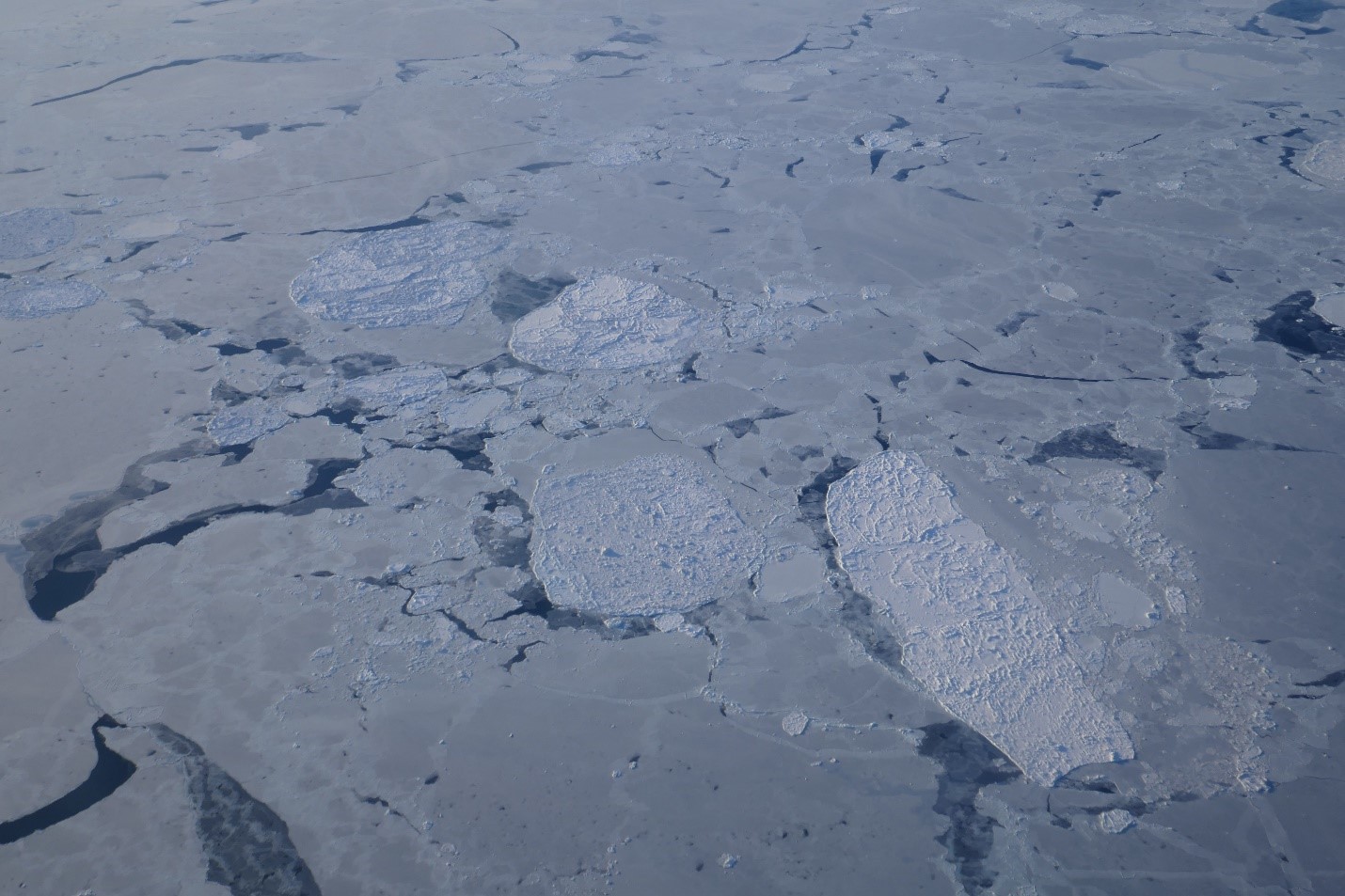 Aerial view of broken ice floes floating on a grey sea.