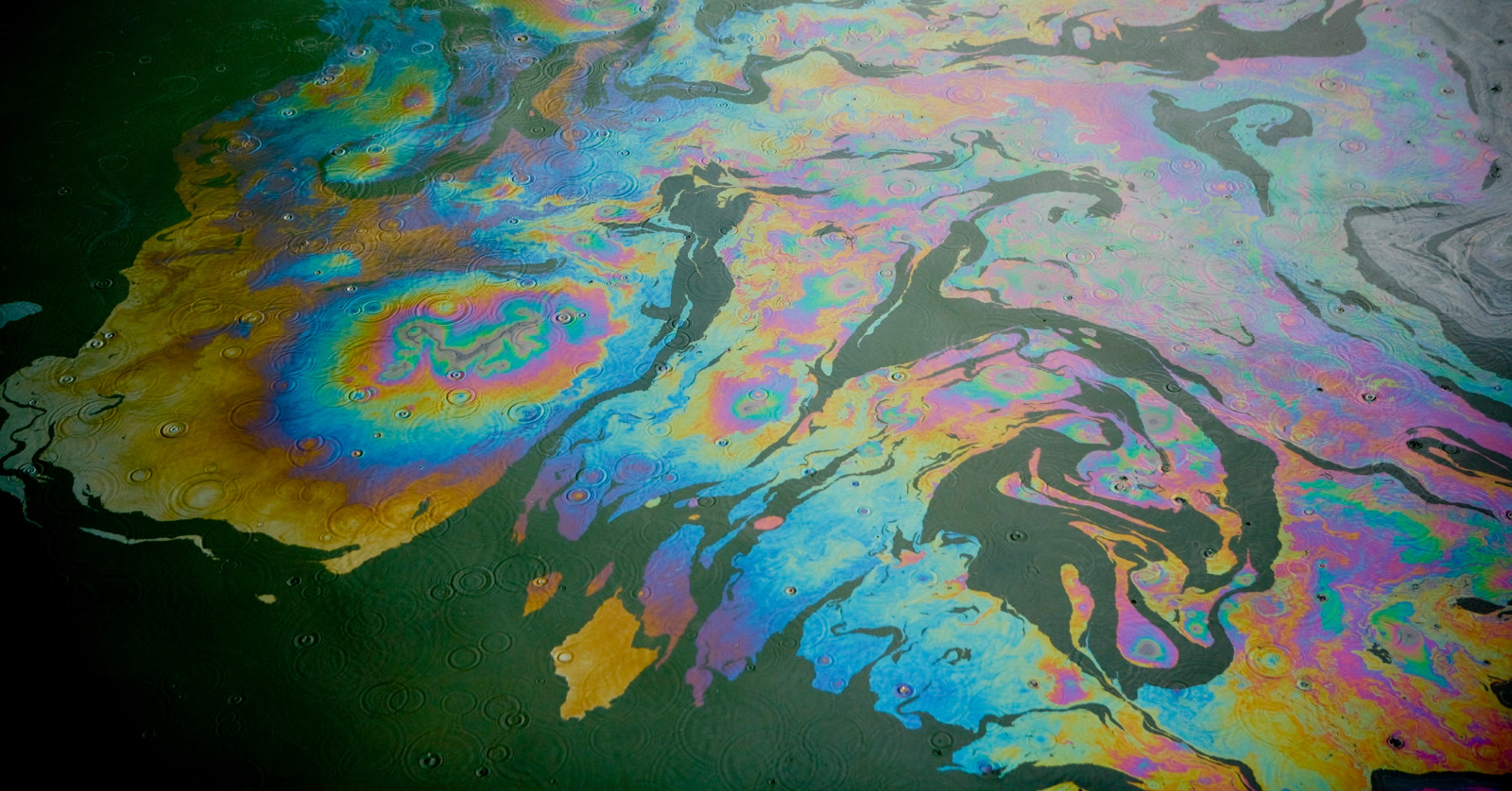 Close-up view of a colorful oil slick on the surface of water.